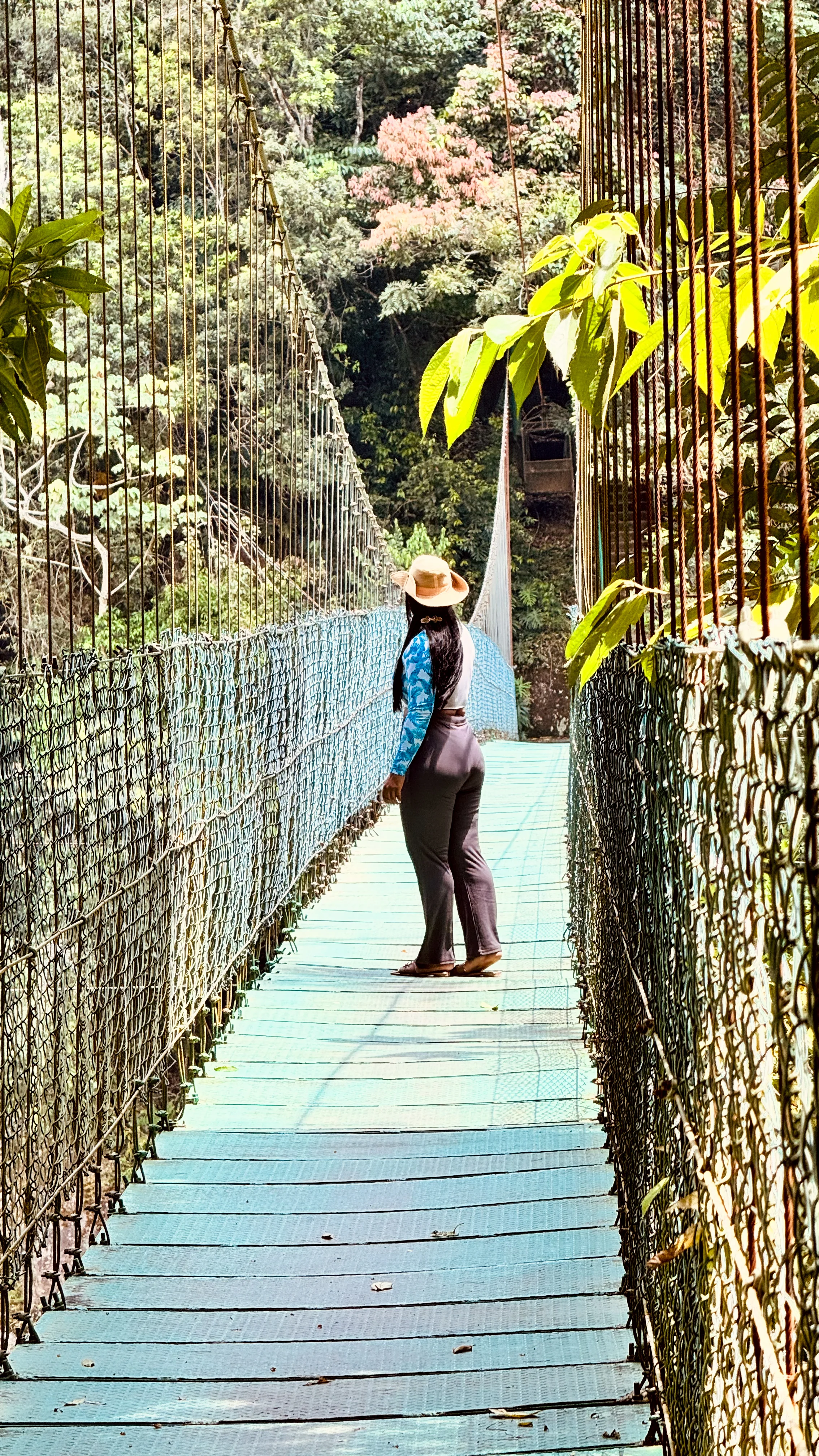 Puente de Hamaca