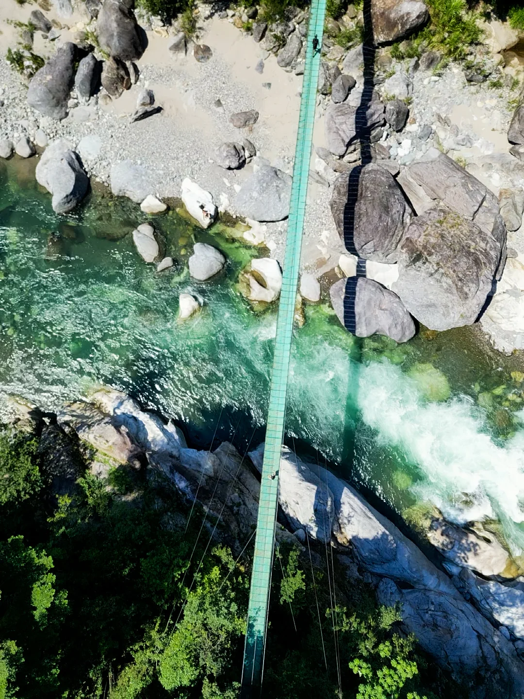 Puente de Hamaca en la selva