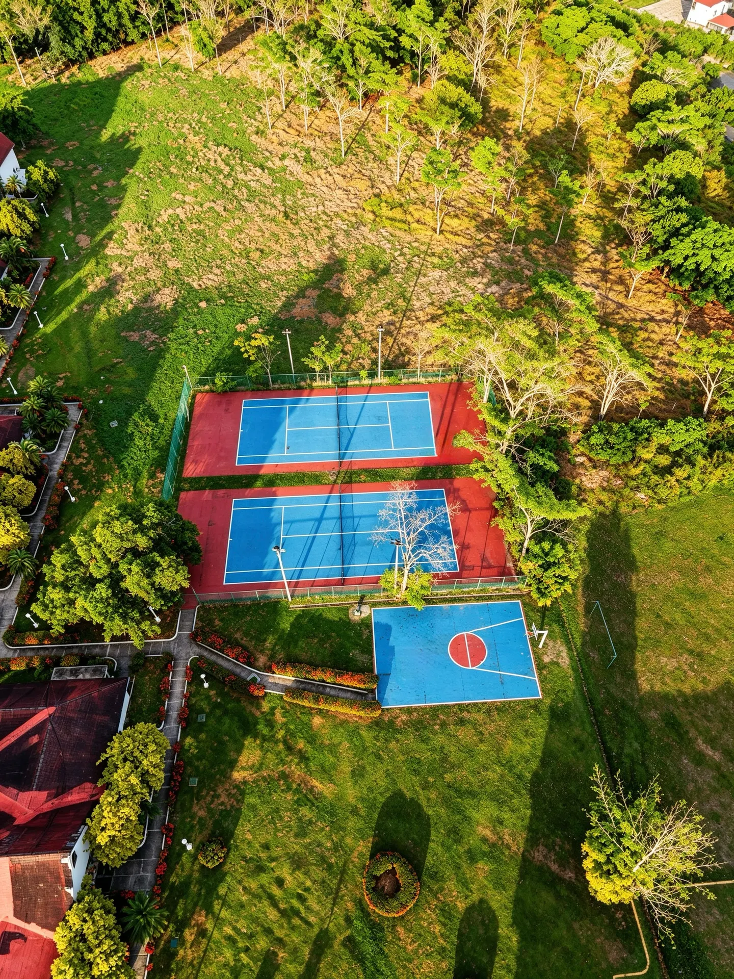 Canchas de tennis y basketball